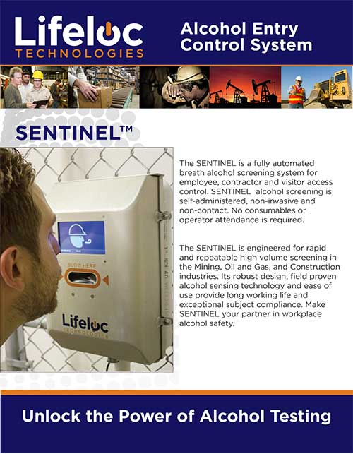Sentinel-Broschüre